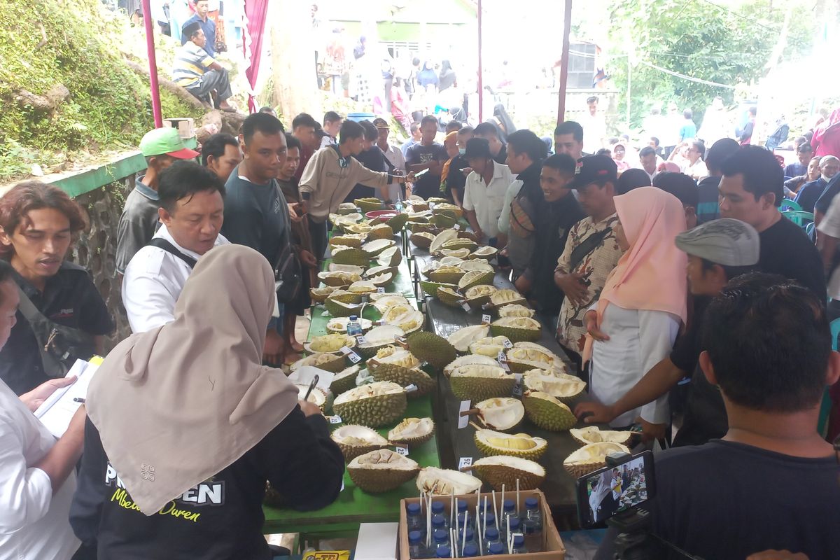 Desa Prumben, Kecamatan Gebang menjadi salah satu penghasil buah durian terbaik di Kabupaten Purworejo. Kualitas dan kuantitasnya tidak kalah dengan Durian Kecamatan Kaligesing yang lebih dikenal lebih dulu oleh para pecinta Buah Raja ini.  Jika ditotal, produktivitas durian dari Desa Prumben mencapai 3000 butir per hari saat panen raya. Hal ini lah yang mendorong desa ini menjadi Alternatif wisata baru di Purworejo