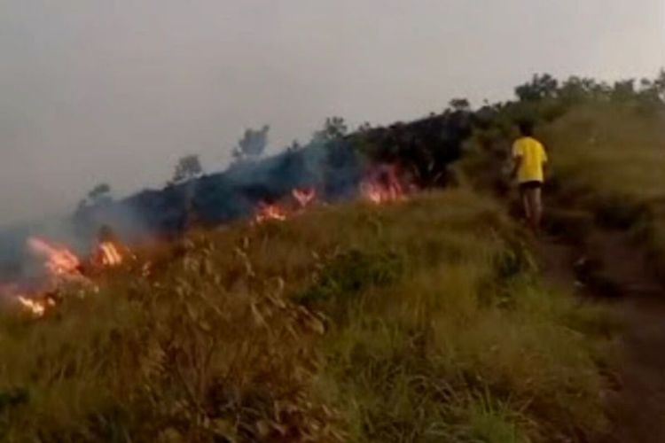 Bukit Sempana di Lombok Timur Terbakar, 25 Wisatawan Dievakuasi