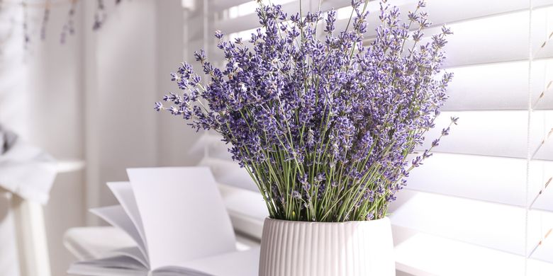 Ilustrasi tanaman lavender di pot.