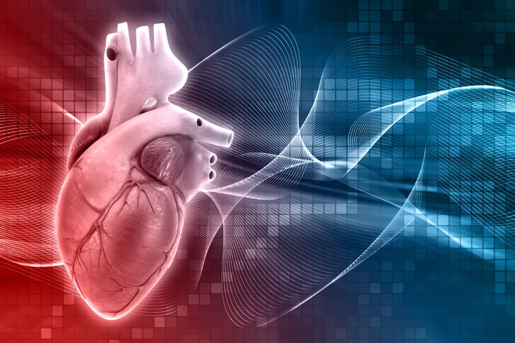 Inflamasi Juga Menjadi Faktor Risiko Serangan Jantung dan Stroke