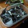 Guru Besar UGM: Ikan Wader Terancam Punah, Ini Faktornya 