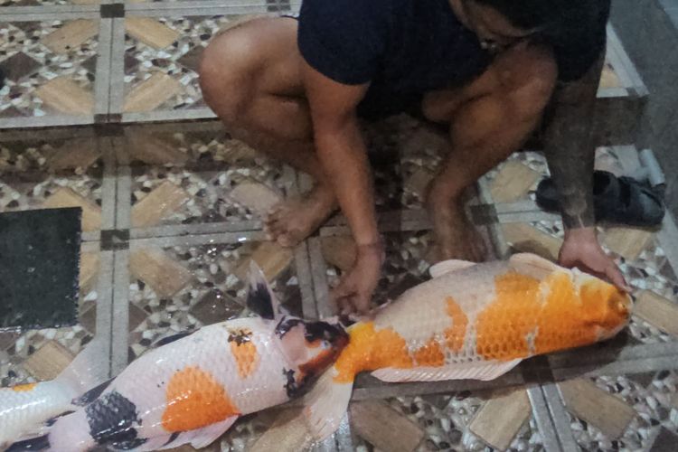Warga Bali Rugi hingga Rp 200 Juta Imbas Listrik Padam, Bisakah Minta Ganti Rugi ke PLN? 