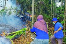 Ditemukan, 13 Titik Kebakaran Batubara di Hutan Lindung Balikpapan