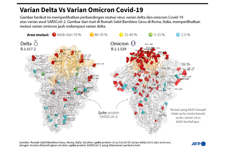 Perbandingan mutasi varian delta (kiri) dan omicron Covid-19 atas struktur varian SARSCoV-2 yang pertama kali ditemukan.