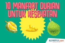INFOGRAFIK: 10 Manfaat Durian bagi Kesehatan