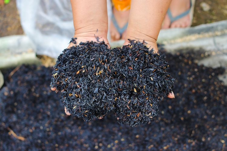 Ilustrasi arang sekam. Arang sekam dapat dimanfaatkan untuk tanaman, salah satunya adalah sebagai media tanam. 