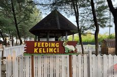 3 Tips Berkunjung ke Safari Beach Batang, Datang Pukul 10.00 WIB