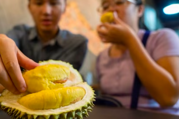 Ilustrasi makan durian