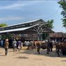 Temuan Kasus Antraks, Pasar Hewan di Gunungkidul Tetap Ramai