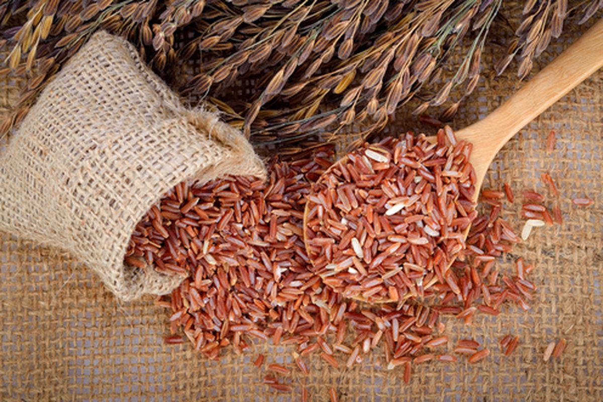 Ilustrasi beras merah