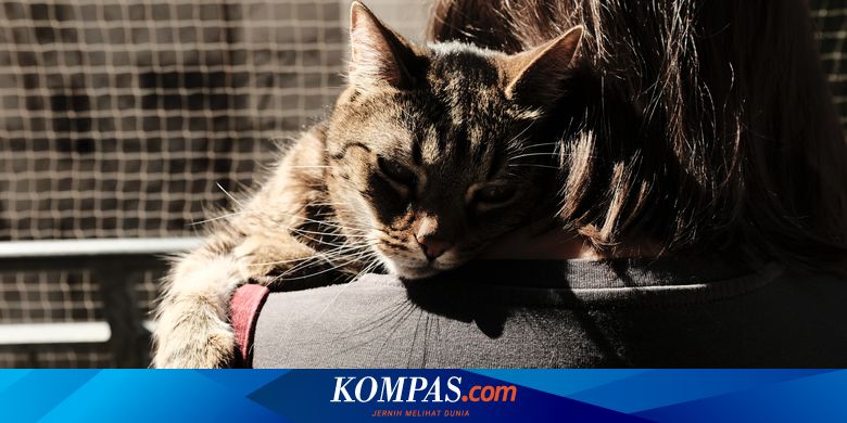 Mengikis Duka Sepeninggal Hewan Peliharaan Tercinta