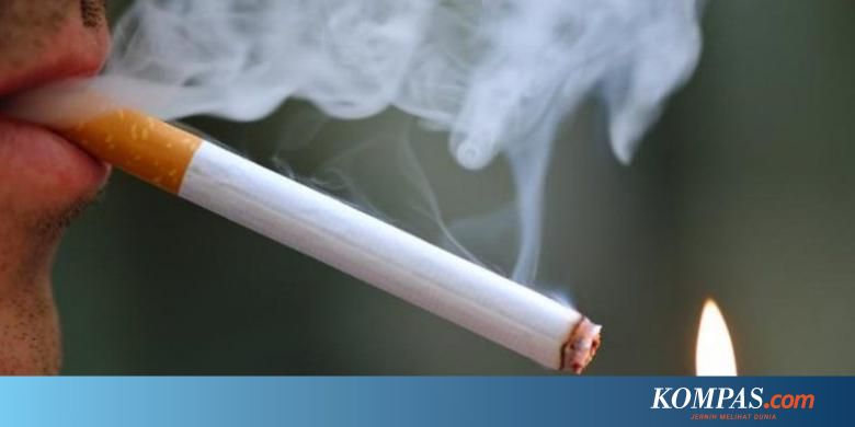 Smoking Stiker  Whatsapp Kata Kata 