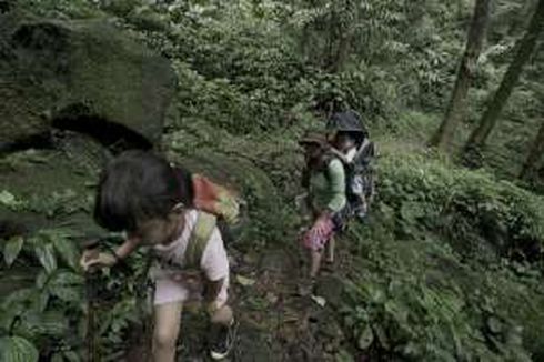 Liburan, Ajak Anak Trekking ke Laboratorium Alam di Halimun