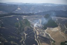 Kebakaran Terbesar sejak 1955 Hanguskan Area Hutan di Selandia Baru