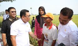 Kejar Target 35 Juta Ton Beras pada 2024, Plt Mentan Panen dan Tanam Padi di Sukoharjo