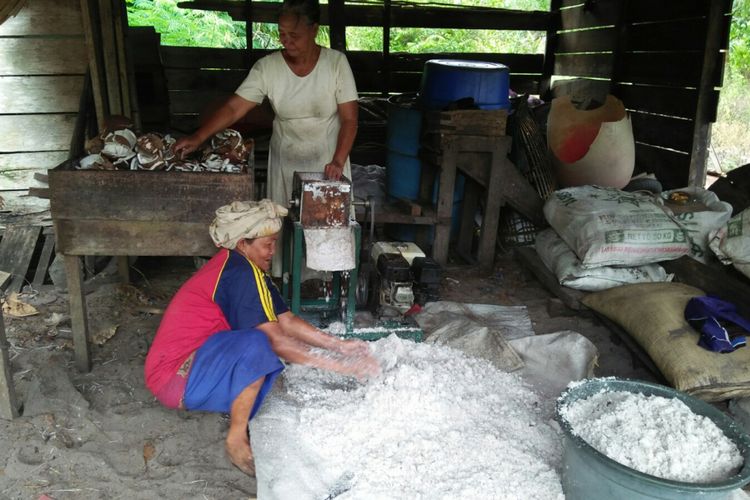 Proses pemarutan dan pemerasan kelapa sebelum diolah menjadi minyak goreng di rumah Sumayati, Desa Sabuai, Kecamatan Kumai, Kabupaten Kotawaringin Barat