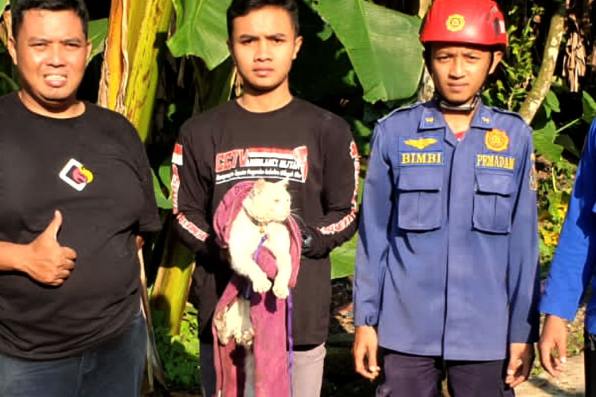 Petugas Damkar berhasil menyelamatkan seekor kucing yang tercebur ke sumur sedalam 10 meter di Desa Butun, Kecamatan Gandusari, Kabupaten Blitar, pada Rabu (22/6/2022)