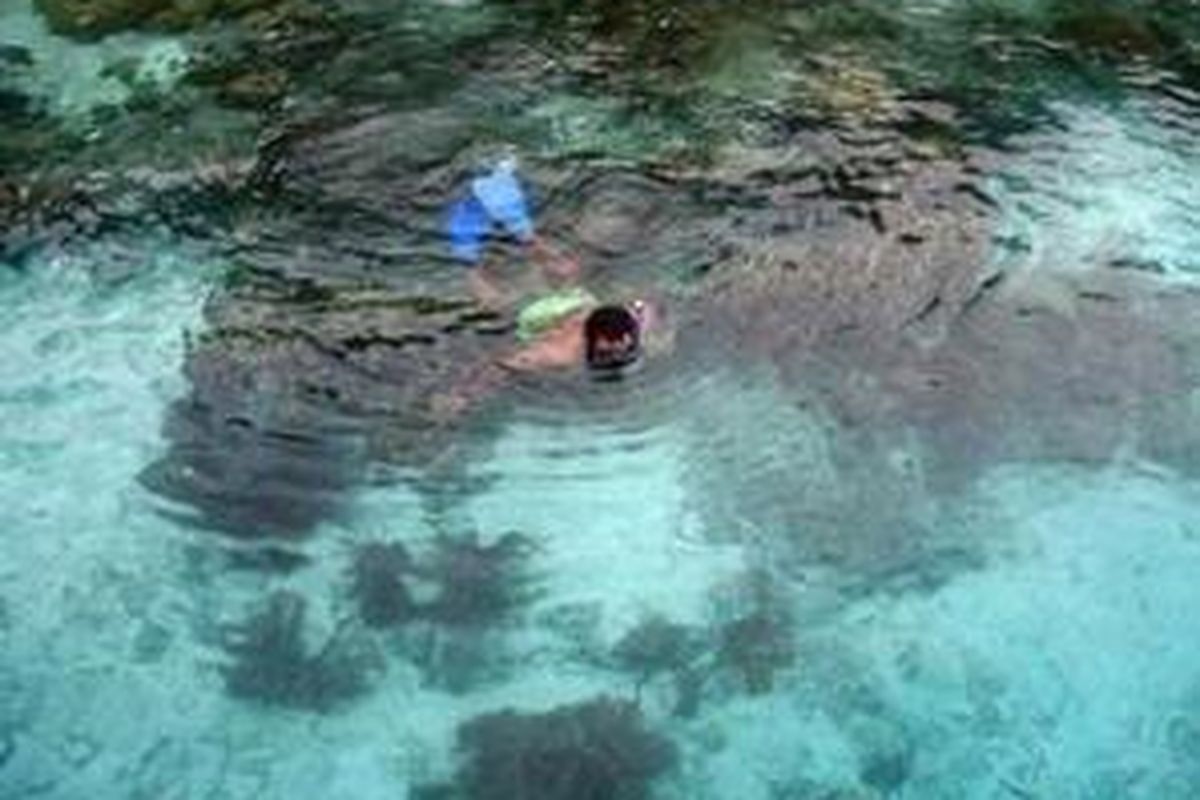 Aktivitas snorkeling di perairan Pulau Wayag, Waigeo Barat, Raja Ampat, Papua Barat. Letaknya yang berada di wilayah segitiga terumbu karang dunia (Coral Triangle) membuat Raja Ampat dinobatkan sebagai kawasan yang paling kaya dengan keragaman hayatinya di dunia. 
