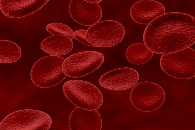 Sel darah merah mengandung hemoglobin untuk berfungsi menjalankan pertukaran oksigen dan karbon monoksida.