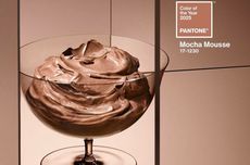 Pantone Umumkan Mocha Mousse sebagai Tren Warna 2025