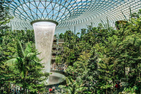 Dua Singa Besar Lepas di Bandara Changi Singapura Sempat Picu Kepanikan