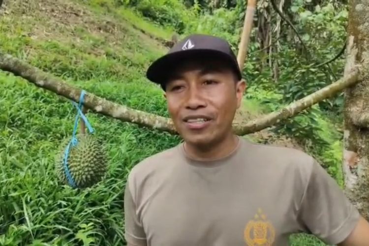 Polisi Polman Sulap Bukit Tandus Jadi Kebun Durian Premium Bernilai Ratusan Juta Rupiah