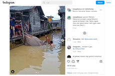 Viral, Video Ikan Pari Raksasa Ditangkap di Kalsel, Pakar: Ikan Dilindungi, Wajib Dilepas!