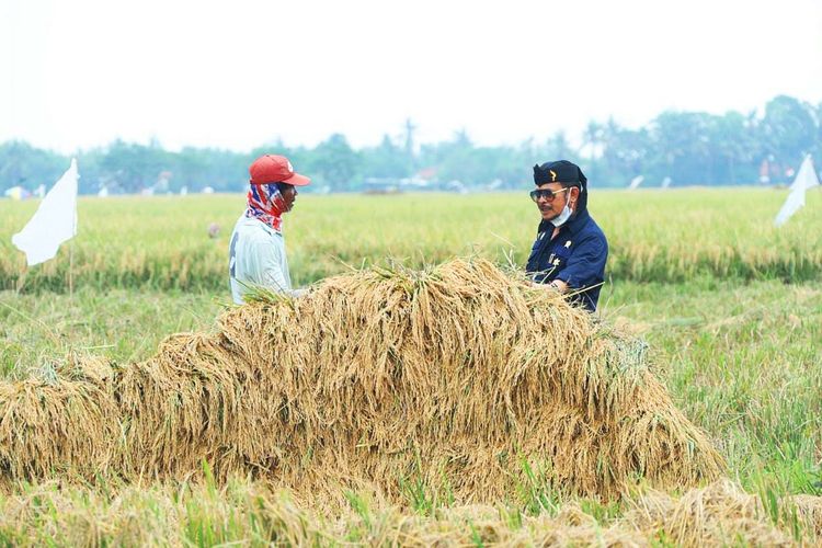 Menteri Pertanian (Mentan) Syahrul Yasin Limpo (SYL) berbincang dengan petaniDesa Gombongsari, Kecamatan Rawamerta, Sabtu (13/11/2021).