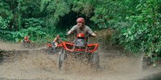 ATV Quad Bike, Petualangan Seru Menjelajahi Alam dengan Roda Empat