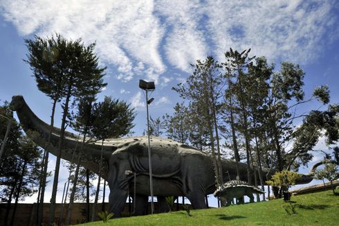 Fosil Tertua Titanosaurus atau 'Dinosaurus Ninja' Ditemukan di Argentina