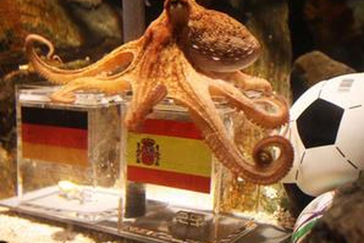 Seekor gurita bernama Paul, yang ikut meramal di Piala Dunia 2010.