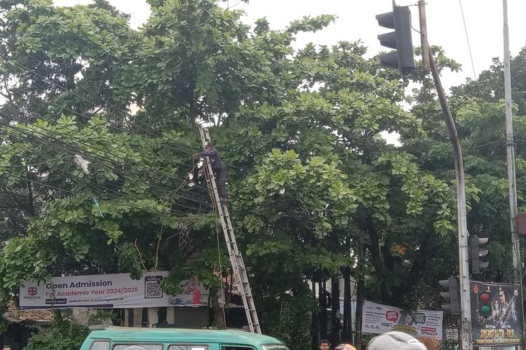 Petugas tengah merapihkan juntaian kabel di jalan Peta, Kota Bandung, Jawa Barat, Rabu (28/2/2024).