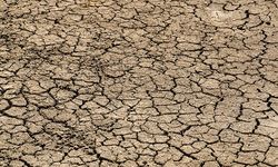 BMKG Sebut Indonesia Telah Memasuki Musim Kemarau, Lebih Kering dan Panjang