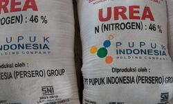 Pupuk Bersubsidi Difokuskan Jadi NPK dan Urea, Rektor Universitas Dwijendra: Sudah Tepat