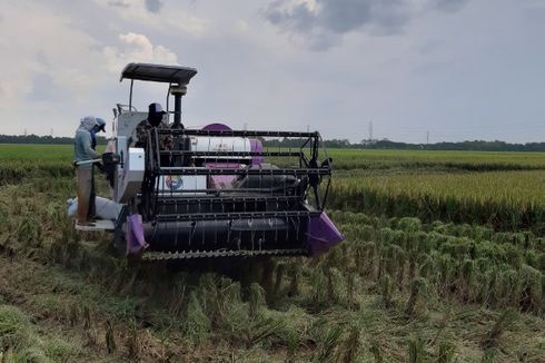 Membaca Masa Depan Petani di Indonesia