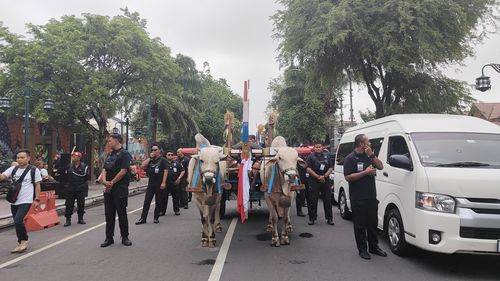 Cerita Perlakuan Khusus Gerobok Sapi yang Dinaiki Ganjar-Mahfud dalam Hajatan Rakyat Kota Solo
