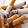 Berbahaya Bagi Lingkungan, Sampah Puntung Rokok Mesti Diatasi
