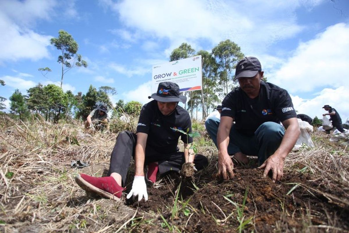 BRI Menanam ? Grow & Green mengedepankan tiga nilai inti, yaitu sosial, ekonomi dan lingkungan.