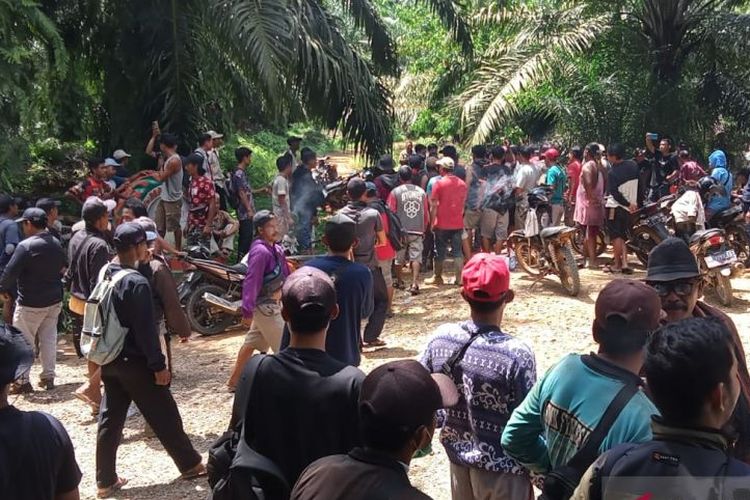 Ratusan orang dari tiga desa di Kecamatan Air Rami, Kabupaten Mukomuko, Bengkulu, menggelar aksi penutupan seluruh akses jalan menuju PT Daria Dharma Pratama (DDP), perusahaan perkebunan kelapa sawit pada Kamis (13/1/2022).