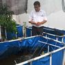 Dokter Bedah Ini Manfaatkan Lahan Sempit di Rumah untuk Beternak Lele