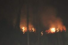 100 Hektar Hutan Lindung di Taman Nasional Kerinci Seblat Terbakar