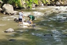 97 Bangkai Kambing Dibuang ke Sungai, Bupati Semarang: Kita Masih Menunggu Hasil Pemeriksaan Sampel