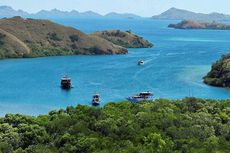 Jalur Trekking Loh Buaya di Taman Nasional Komodo Dibuka 1 April 2023