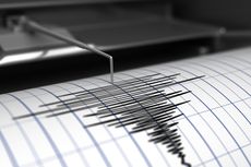 Gempa Hari Ini: M 5,1 Guncang Kulon Progo, Terasa Sampai Ponorogo