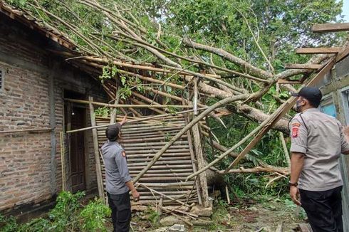9 Rumah Rusak Tertimpa Pohon Roboh akibat Hujan dan Angin Kencang di Kulon Progo