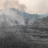 Lahan Kosong di Belakang Universitas Bhayangkara Bekasi Terbakar