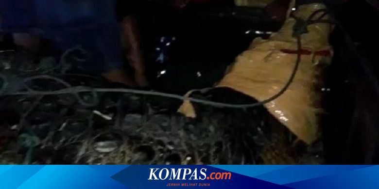 Gunakan Setrum Rakitan, Warga Tangkap Buaya Senyulong 4 Meter di Jambi