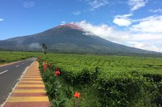 Gunung Kerinci di Pulau Sumatera: Tinggi, Jalur Pendakian, dan Waktu Tempuh 