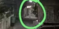 Teror Pocong di Bandung Barat Viral di Medsos, Polisi Cek Lokasi yang Disebut Warga