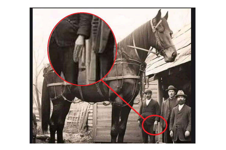 Kejanggalan pada foto kuda raksasa yang mengindikasikan foto itu dibuat AI.